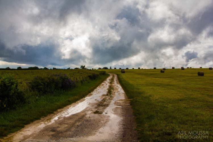 The path less travelled.