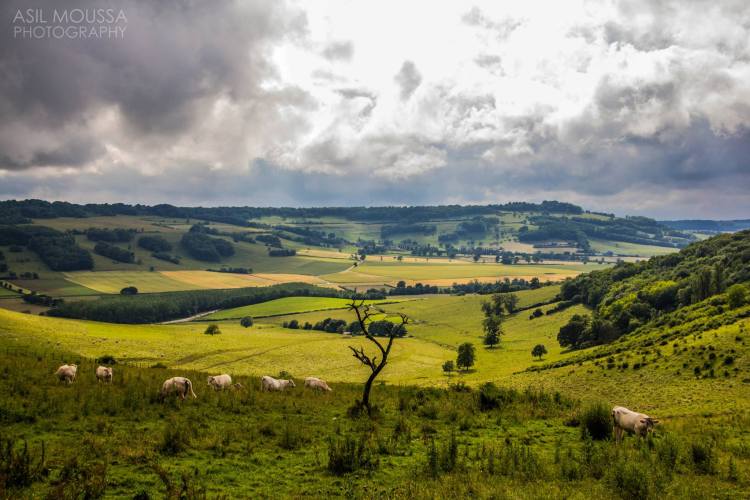 The View. — in Dijon, Bourgogne, France.